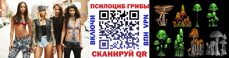 Псилоцибиновые грибы Psilocybine cubensis Ахтырский